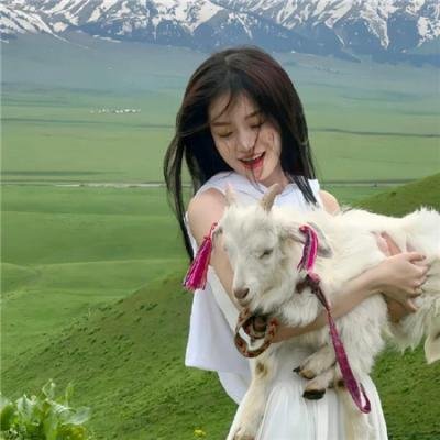 巴斯特·斯克鲁格斯的歌谣