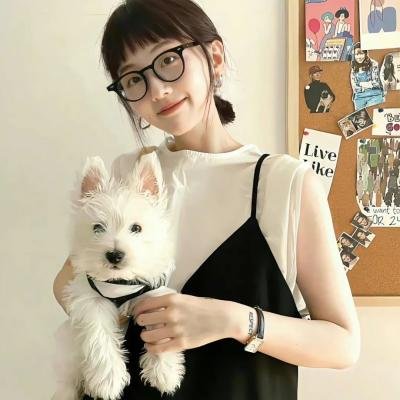看不见的城市第二季